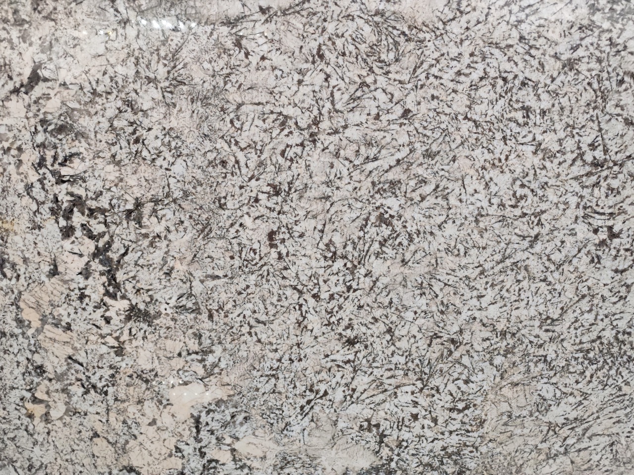 Granite: Delicate